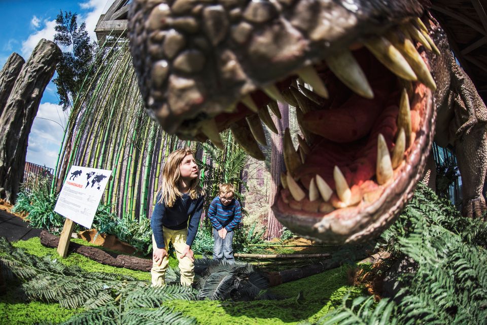 Foto: Universeum